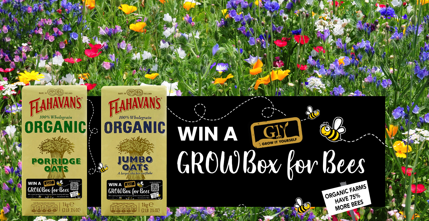 Flahavans Growbox for Bees