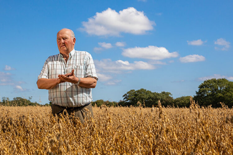 Flahavan's Farmers