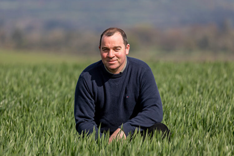 Flahavan's Farmers - Michael Coffey