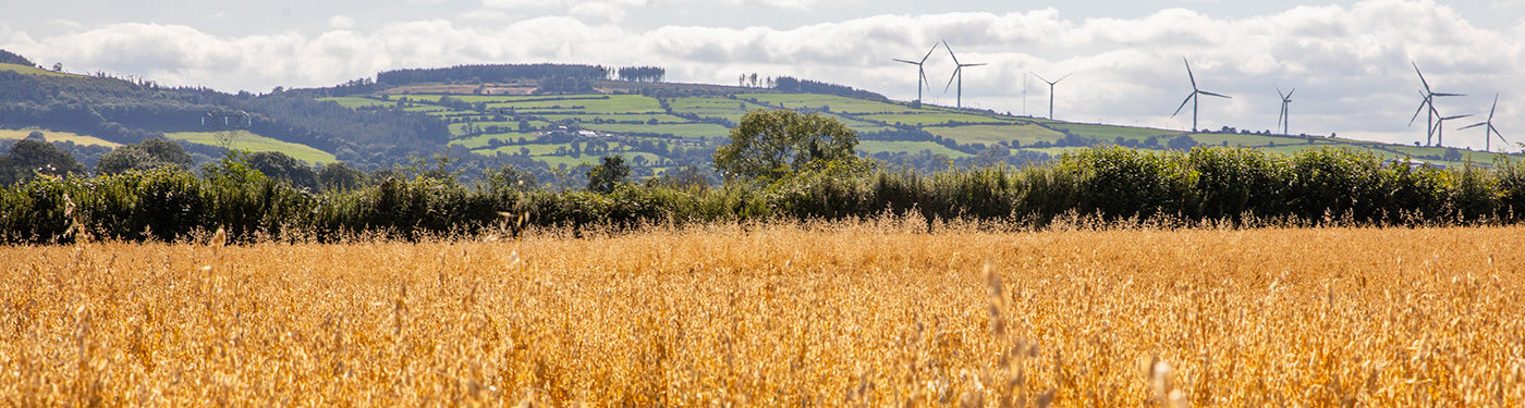 Flahavan's, Sustainability