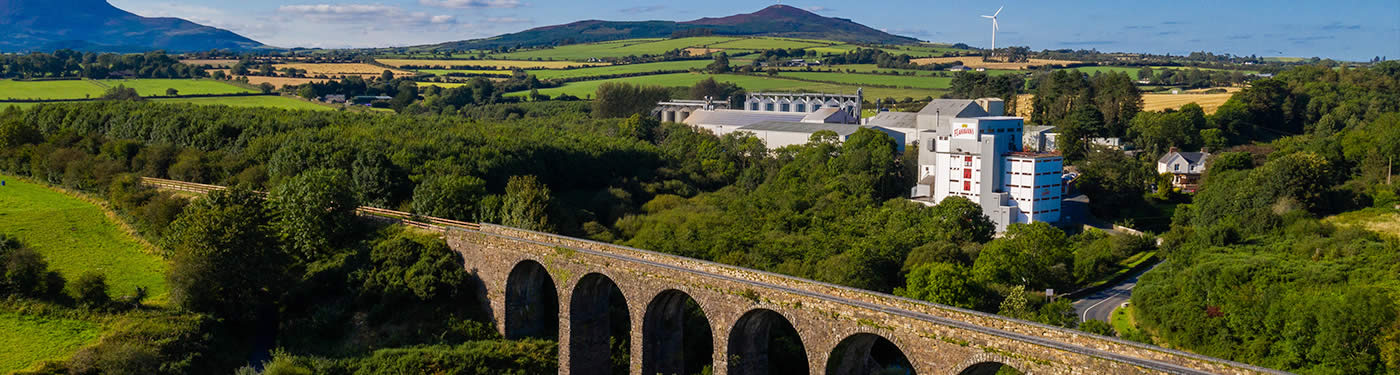 Flahavan's Mill